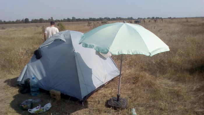 Парасоля для тіні