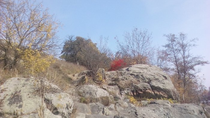 Кам’яний схил гори