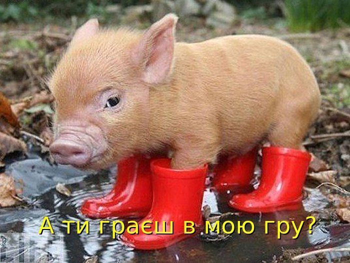 Агітація )))