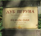 Ритуальний дуб слов'ян у селі Пирогів, м.Київ