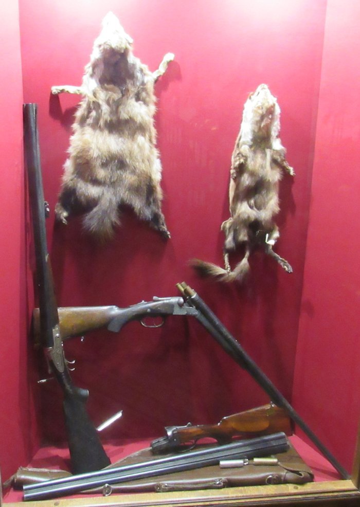 Рушниці та здобич мисливця